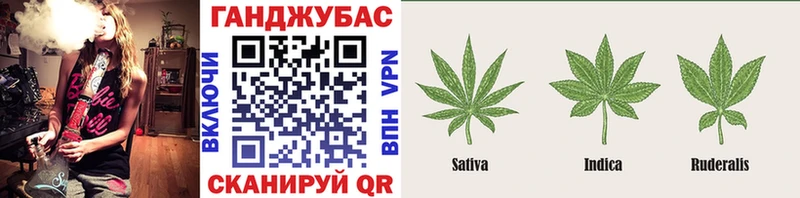 Где можно купить наркотики Рассказово Гашиш  Бошки Шишки  Cocaine  Альфа ПВП  Мефедрон 