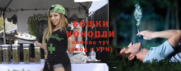 бошки Мегион