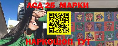 индика Абакан